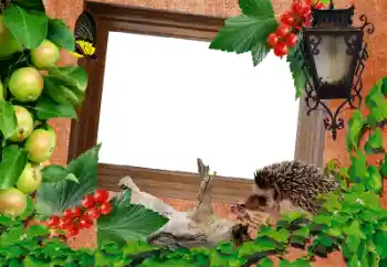 Efecto de fotos de la categoría Otros № 39216 Efecto de fotos de la categoría Otros № 39216