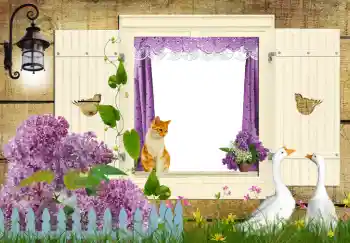 Efecto de fotos de la categoría Otros № 42597 Efecto de fotos de la categoría Otros № 42597