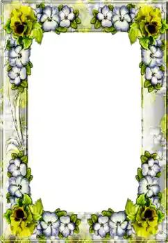 Efecto de fotos de la categoría Otros № 4367