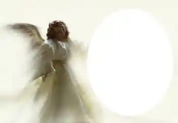 Efecto de fotos de la categoría Otros № 4541