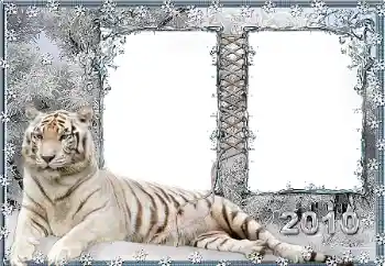 Efecto de fotos de la categoría Otros № 45917 Efecto de fotos de la categoría Otros № 45917