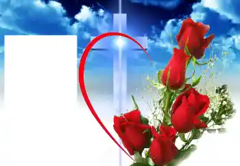 Efecto de fotos de la categoría Otros № 46964 Efecto de fotos de la categoría Otros № 46964