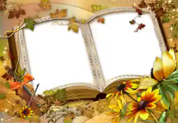 Efecto de fotos de la categoría Otros № 47137 Efecto de fotos de la categoría Otros № 47137