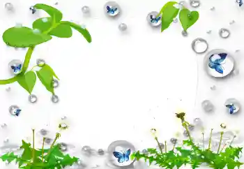 Efecto de fotos de la categoría Otros № 47168 Efecto de fotos de la categoría Otros № 47168