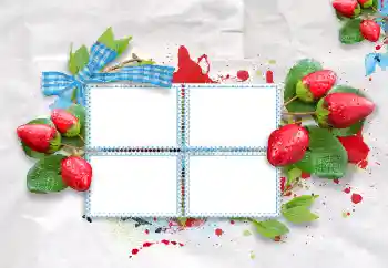 Efecto de fotos de la categoría Otros № 47209 Efecto de fotos de la categoría Otros № 47209