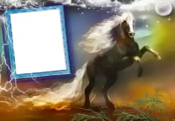 Efecto de fotos de la categoría Otros № 47248