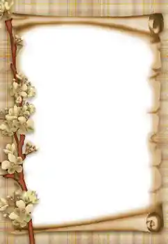 Efecto de fotos de la categoría Otros № 47303