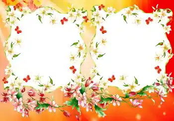 Efecto de fotos de la categoría Otros № 4894