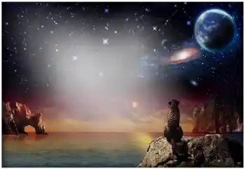 Efecto de fotos de la categoría Otros № 49504 Efecto de fotos de la categoría Otros № 49504