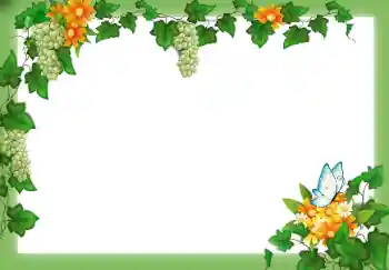 Efecto de fotos de la categoría Otros № 49547 Efecto de fotos de la categoría Otros № 49547