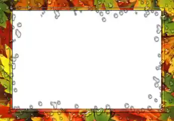 Efecto de fotos de la categoría Otros № 49551 Efecto de fotos de la categoría Otros № 49551