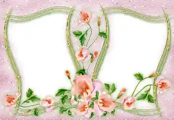 Efecto de fotos de la categoría Otros № 4982