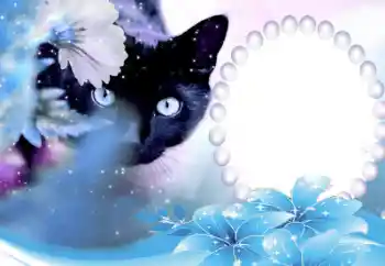 Efecto de fotos de la categoría Otros № 50647 Efecto de fotos de la categoría Otros № 50647