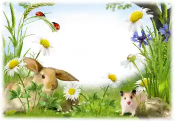 Efecto de fotos de la categoría Otros № 50899 Efecto de fotos de la categoría Otros № 50899