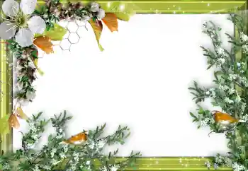 Efecto de fotos de la categoría Otros № 52034 Efecto de fotos de la categoría Otros № 52034