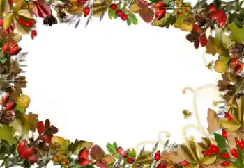 Efecto de fotos de la categoría Otros № 52161 Efecto de fotos de la categoría Otros № 52161