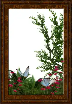 Efecto de fotos de la categoría Otros № 52231 Efecto de fotos de la categoría Otros № 52231