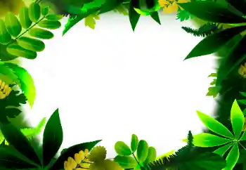 Efecto de fotos de la categoría Otros № 56530 Efecto de fotos de la categoría Otros № 56530