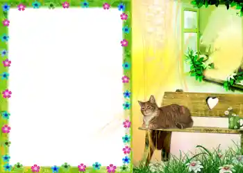 Efecto de fotos de la categoría Otros № 579 Efecto de fotos de la categoría Otros № 579