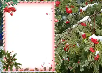 Efecto de fotos de la categoría Otros № 581 Efecto de fotos de la categoría Otros № 581