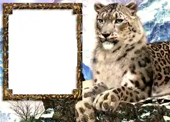 Efecto de fotos de la categoría Otros № 585 Efecto de fotos de la categoría Otros № 585