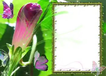 Efecto de fotos de la categoría Otros № 586 Efecto de fotos de la categoría Otros № 586