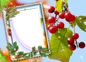 Efecto de fotos de la categoría Otros № 587 Efecto de fotos de la categoría Otros № 587