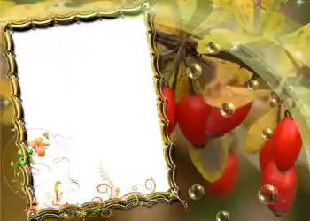 Efecto de fotos de la categoría Otros № 588 Efecto de fotos de la categoría Otros № 588