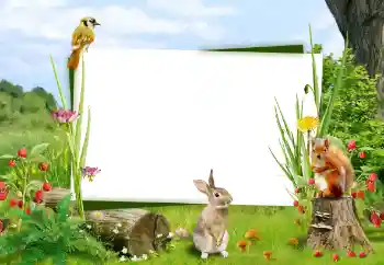 Efecto de fotos de la categoría Otros № 59008 Efecto de fotos de la categoría Otros № 59008