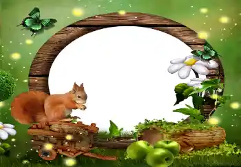 Efecto de fotos de la categoría Otros № 59010 Efecto de fotos de la categoría Otros № 59010