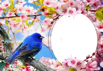 Efecto de fotos de la categoría Otros № 60139 Efecto de fotos de la categoría Otros № 60139