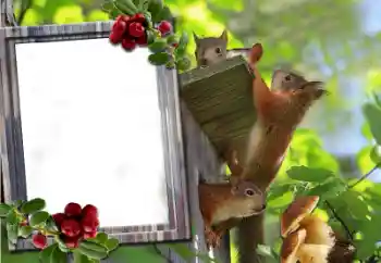 Efecto de fotos de la categoría Otros № 60195 Efecto de fotos de la categoría Otros № 60195