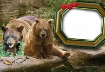 Efecto de fotos de la categoría Otros № 60215 Efecto de fotos de la categoría Otros № 60215