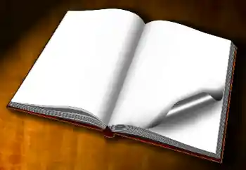 Efecto de fotos de la categoría Otros № 60254 Efecto de fotos de la categoría Otros № 60254