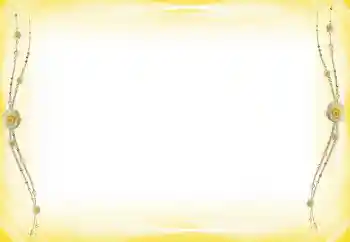 Efecto de fotos de la categoría Otros № 60289 Efecto de fotos de la categoría Otros № 60289