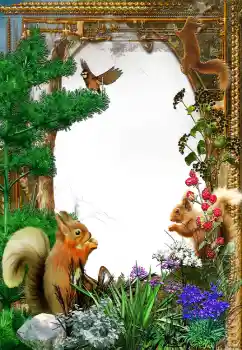 Efecto de fotos de la categoría Otros № 61573 Efecto de fotos de la categoría Otros № 61573