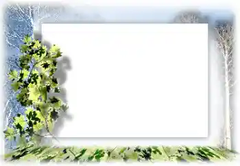 Efecto de fotos de la categoría Otros № 62634 Efecto de fotos de la categoría Otros № 62634