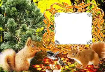 Efecto de fotos de la categoría Otros № 64207 Efecto de fotos de la categoría Otros № 64207