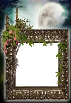 Efecto de fotos de la categoría Otros № 64455 Efecto de fotos de la categoría Otros № 64455