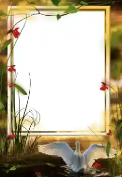 Efecto de fotos de la categoría Otros № 64458 Efecto de fotos de la categoría Otros № 64458