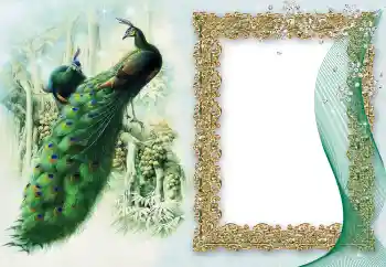 Efecto de fotos de la categoría Otros № 64460 Efecto de fotos de la categoría Otros № 64460