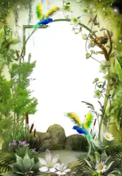 Efecto de fotos de la categoría Otros № 64461 Efecto de fotos de la categoría Otros № 64461