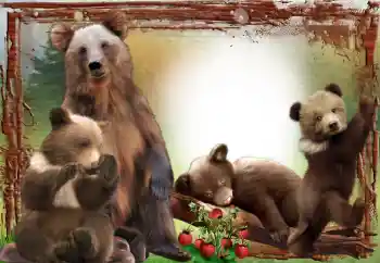 Efecto de fotos de la categoría Otros № 64467 Efecto de fotos de la categoría Otros № 64467