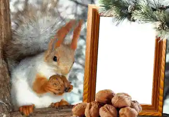 Efecto de fotos de la categoría Otros № 65737 Efecto de fotos de la categoría Otros № 65737