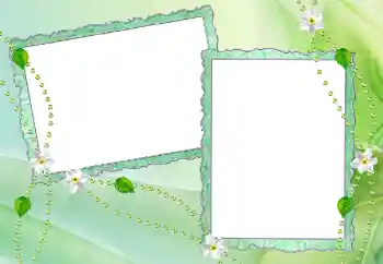 Efecto de fotos de la categoría Otros № 65884 Efecto de fotos de la categoría Otros № 65884