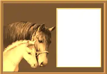 Efecto de fotos de la categoría Otros № 67145 Efecto de fotos de la categoría Otros № 67145