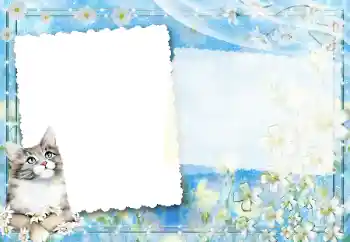 Efecto de fotos de la categoría Otros № 67194 Efecto de fotos de la categoría Otros № 67194