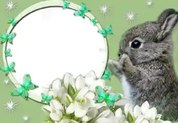 Efecto de fotos de la categoría Otros № 67247