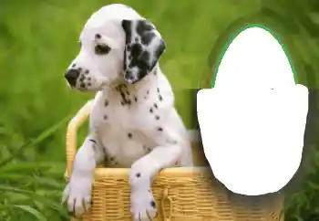 Efecto de fotos de la categoría Otros № 68648 Efecto de fotos de la categoría Otros № 68648