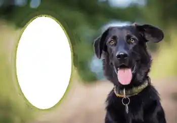 Efecto de fotos de la categoría Otros № 68649 Efecto de fotos de la categoría Otros № 68649